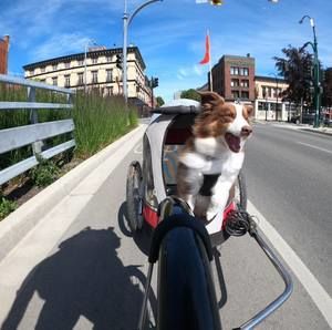 Meet your Posher, Murphy